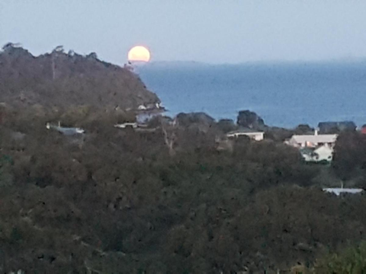 Ponga B&B Half-moon Bay Exterior foto
